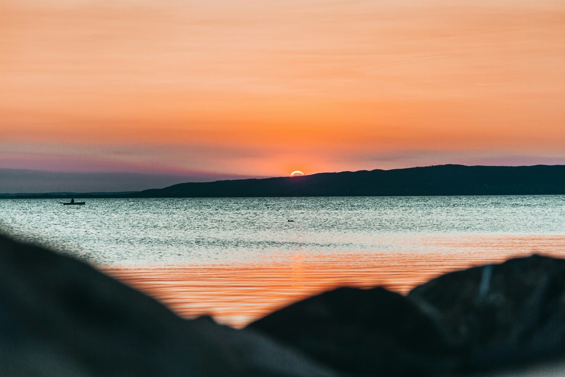 Blog article Cover Image